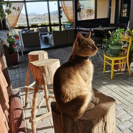 Apartament Pansion Savinac