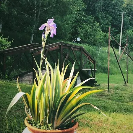 Pansion Savinac Apartament