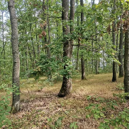 Appartement Pansion Savinac