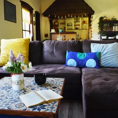 Apartament Pansion Savinac *