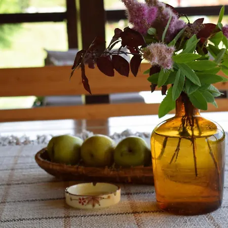 Pansion Savinac Apartament