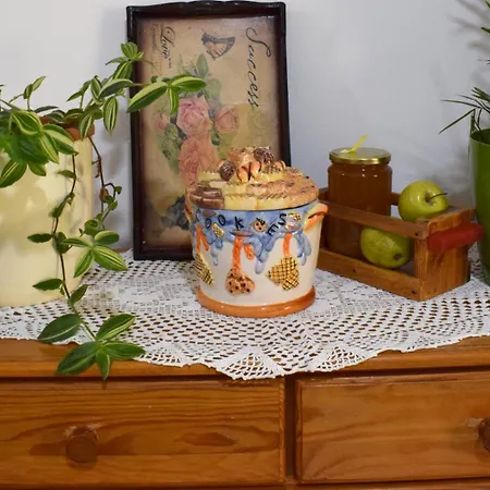 Appartement Pansion Savinac