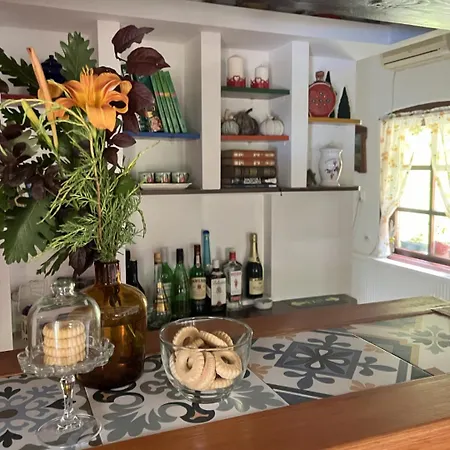 Apartament Pansion Savinac Takovo