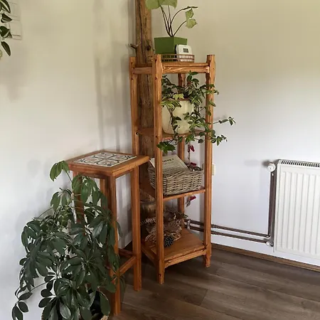 Apartament Pansion Savinac *