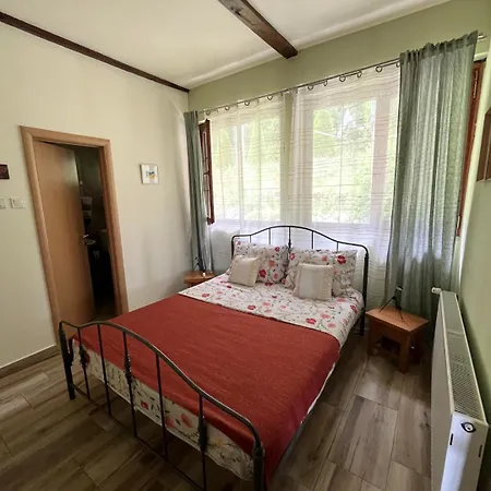 Appartement Pansion Savinac