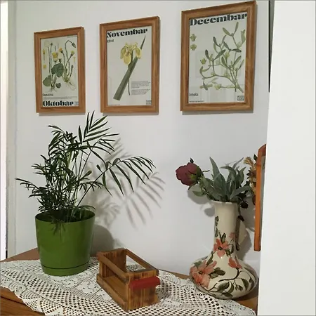 Pansion Savinac Appartement *