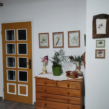 Pansion Savinac Takovo